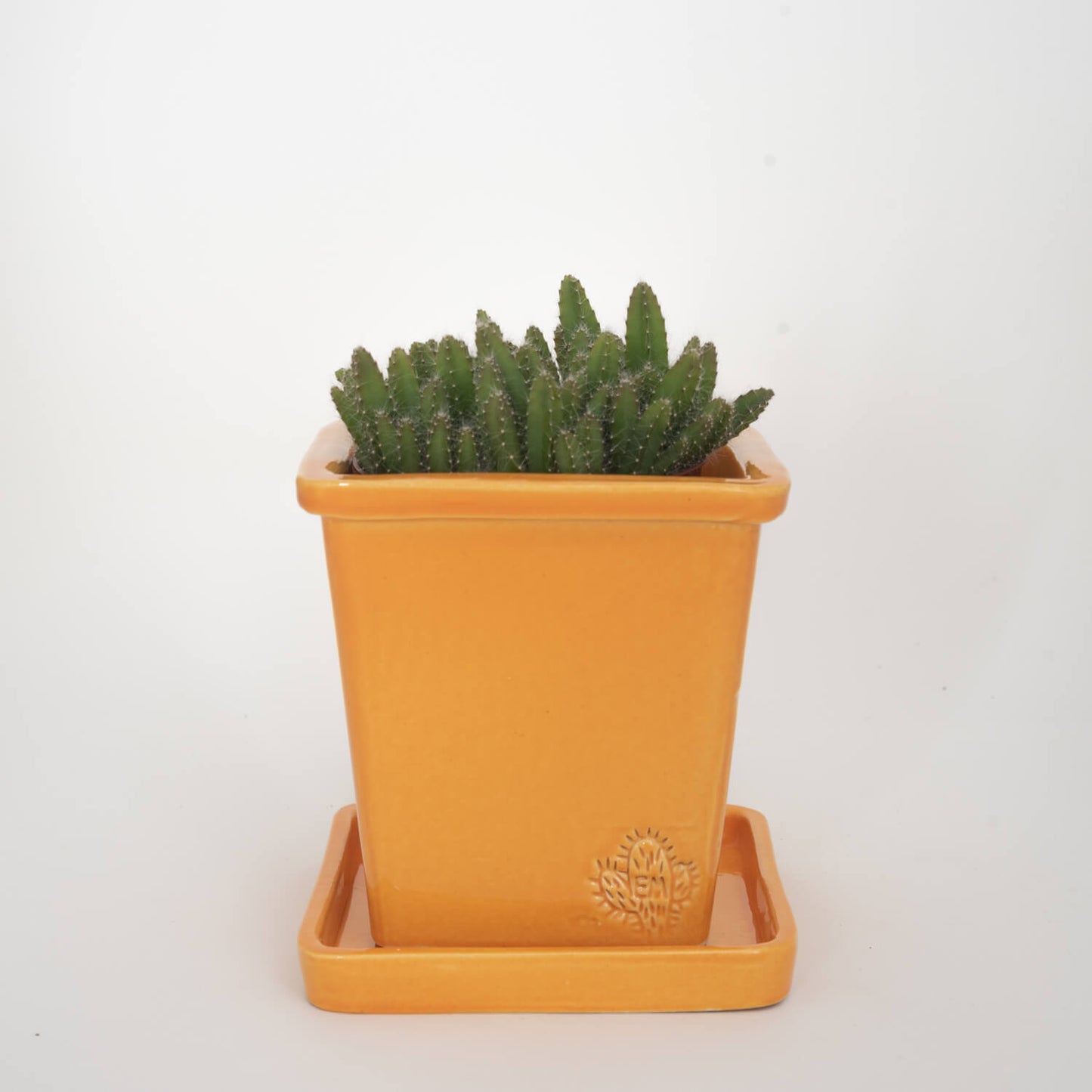 VASO QUADRADO MÉDIO 14x14 - BRILHO