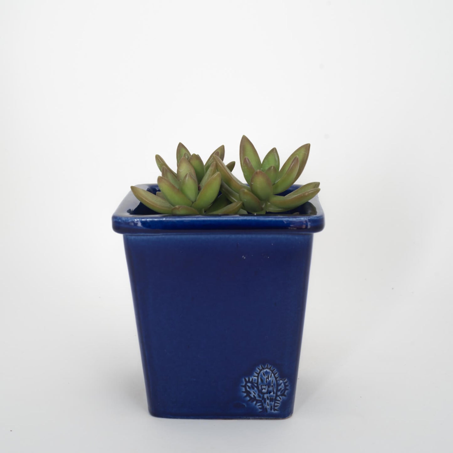 VASO QUADRADO MÉDIO 14x14 - BRILHO