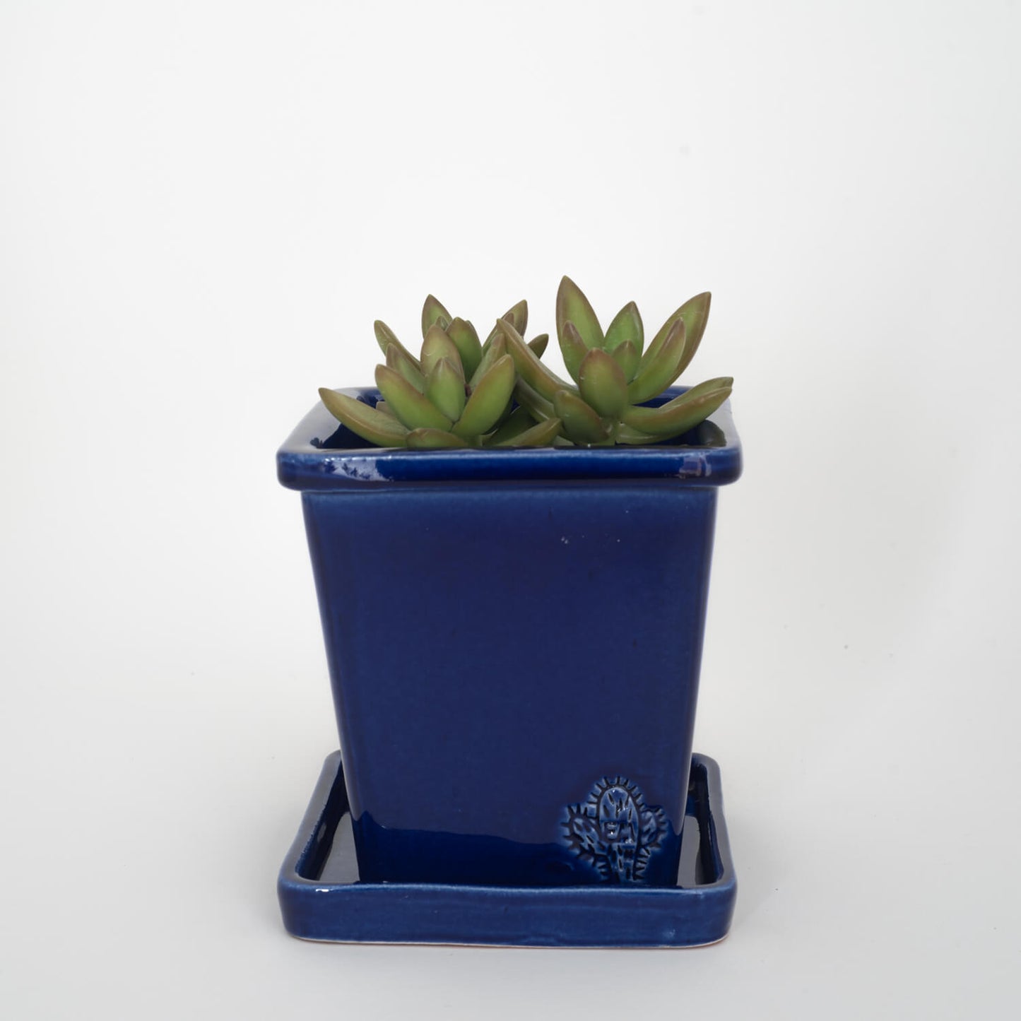 VASO QUADRADO MÉDIO 14x14 - BRILHO