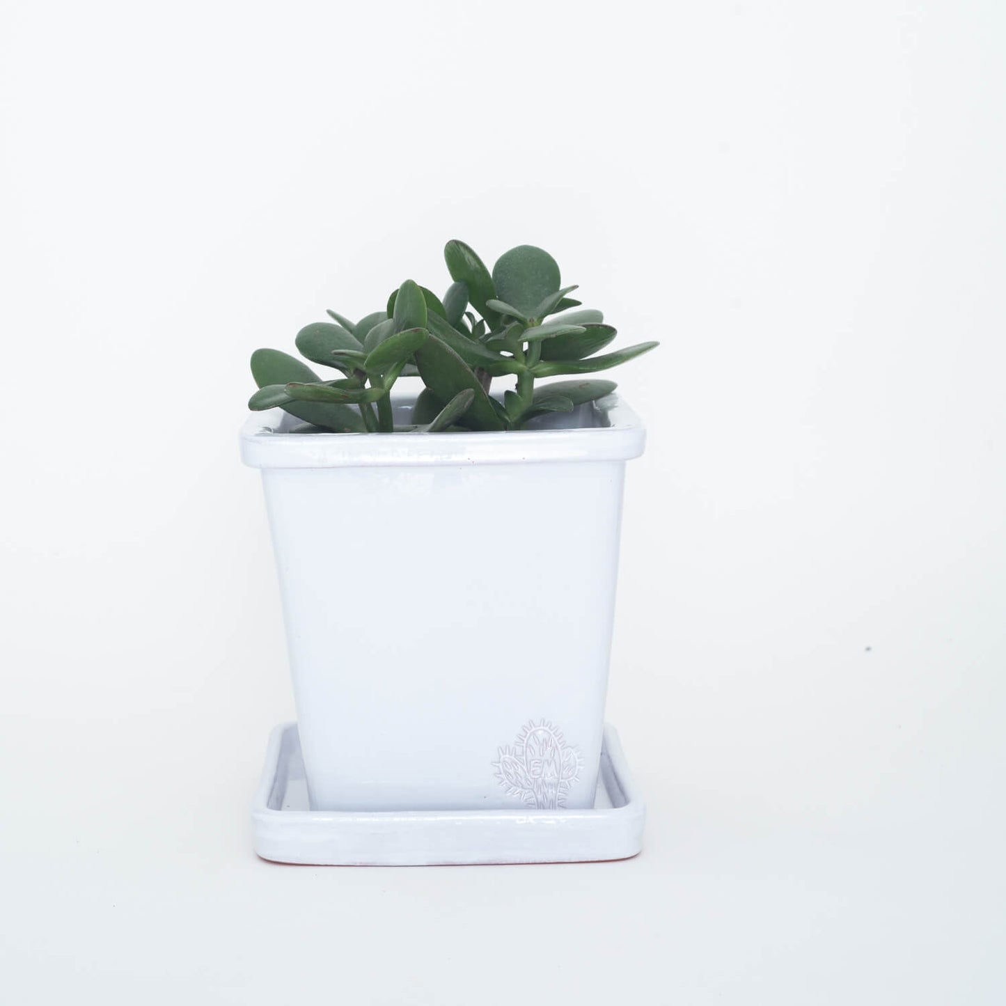 VASO QUADRADO MÉDIO 14x14 - BRILHO