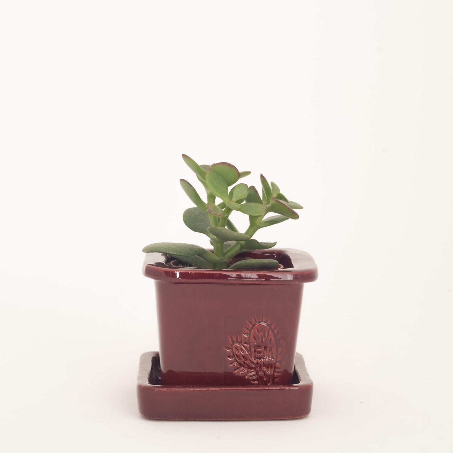 VASO QUADRADO MINI 6x6 - BRILHO