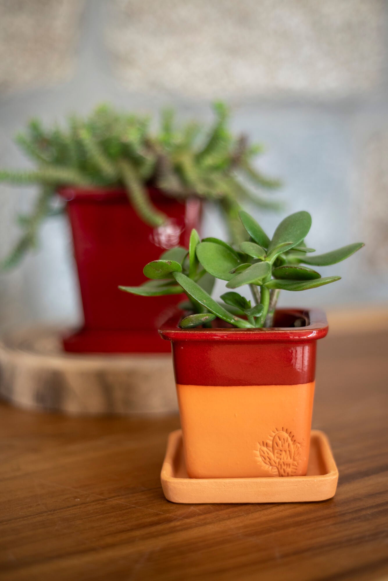 VASO QUADRADO PEQUENO 10x10 - BARRA BRILHO