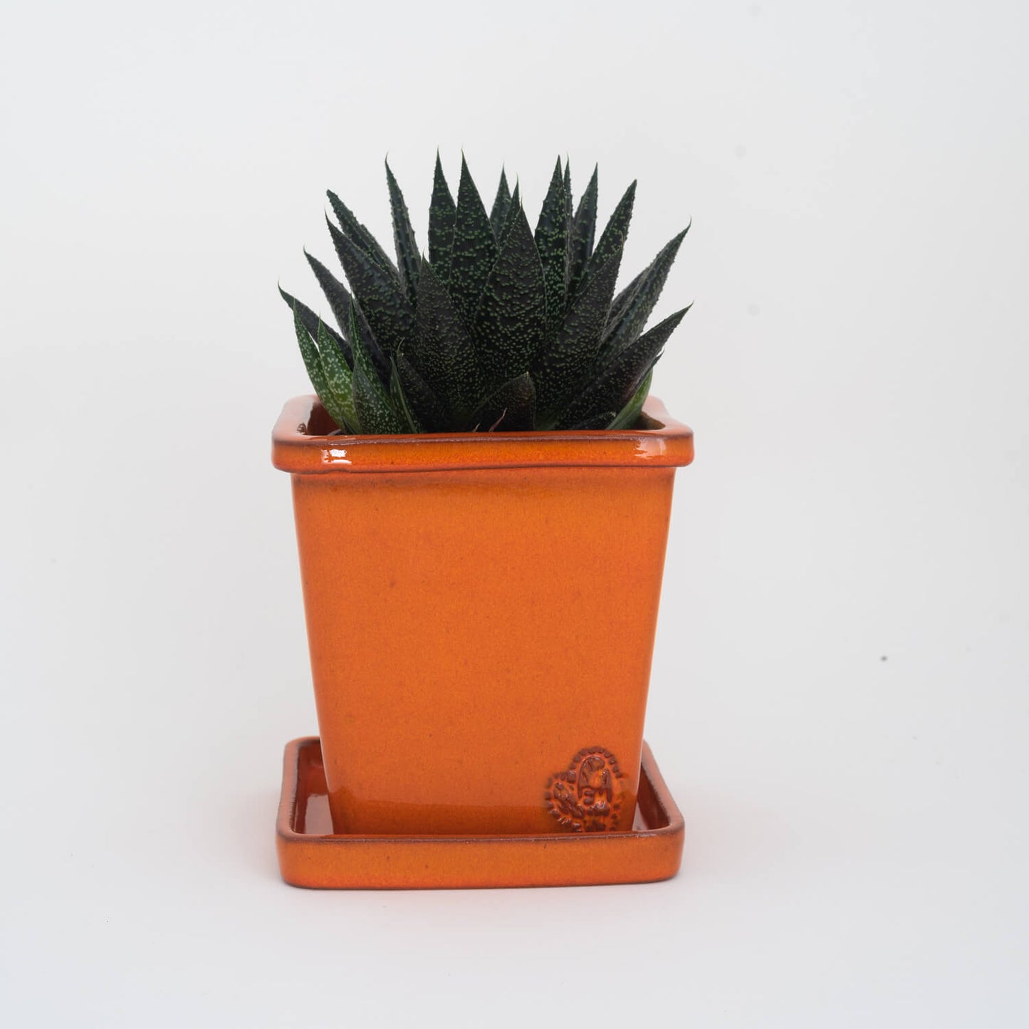 VASO QUADRADO MÉDIO 14x14 - BRILHO