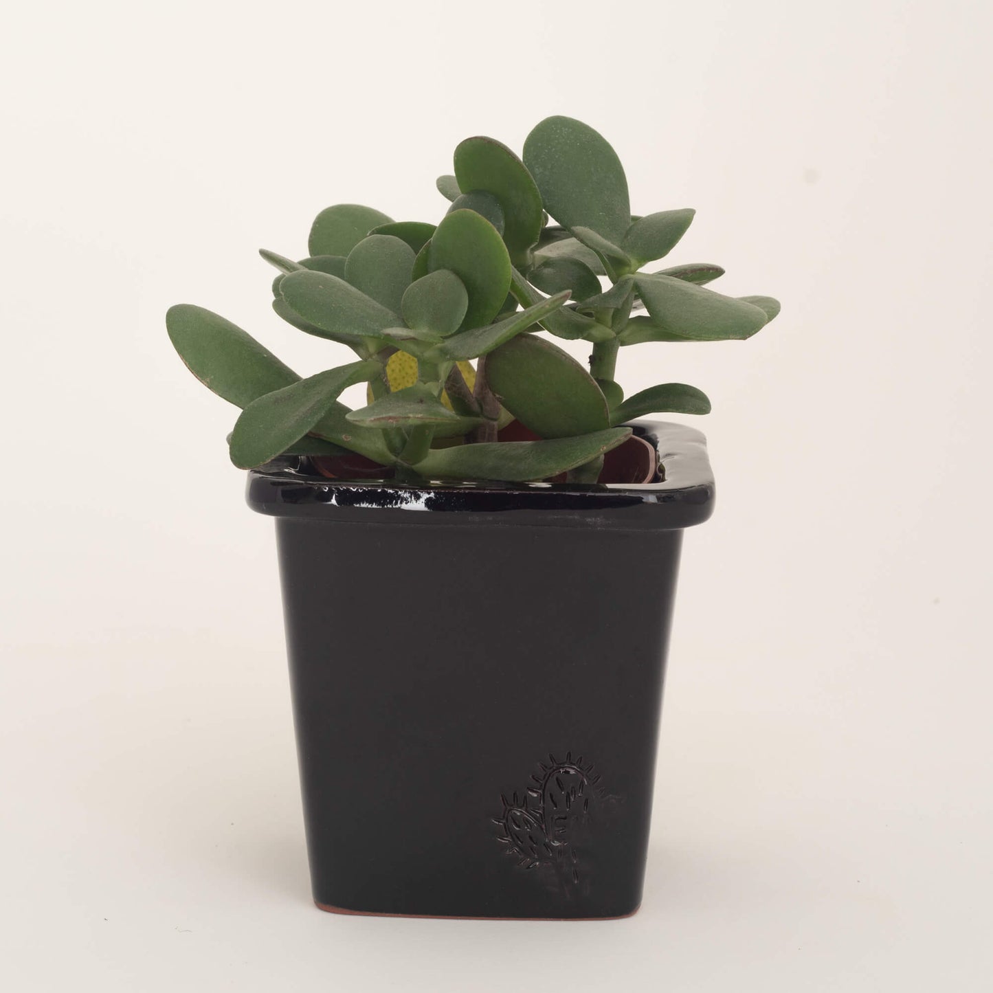 VASO QUADRADO PEQUENO 10x10 - BRILHO