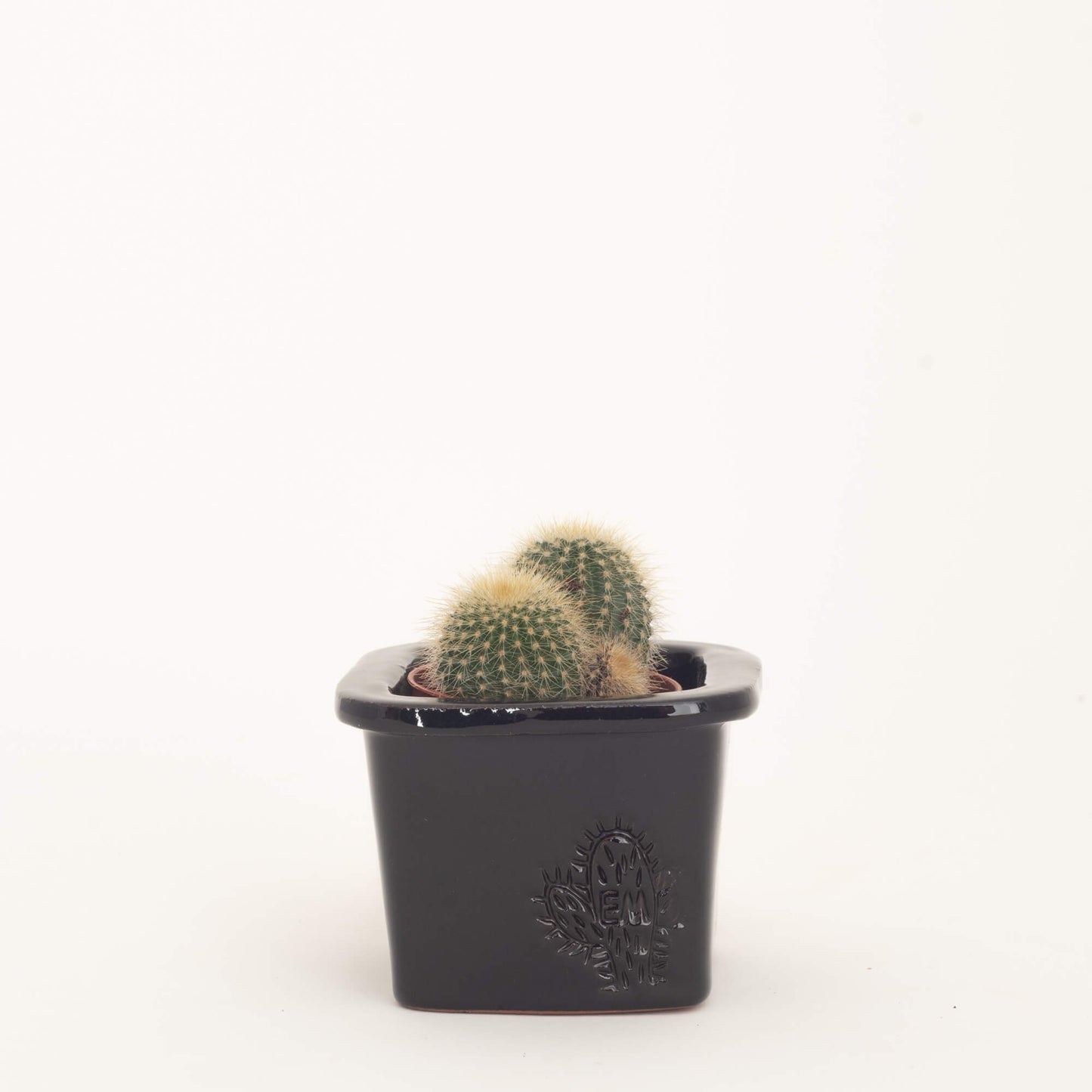 VASO QUADRADO MINI 6x6 - BRILHO
