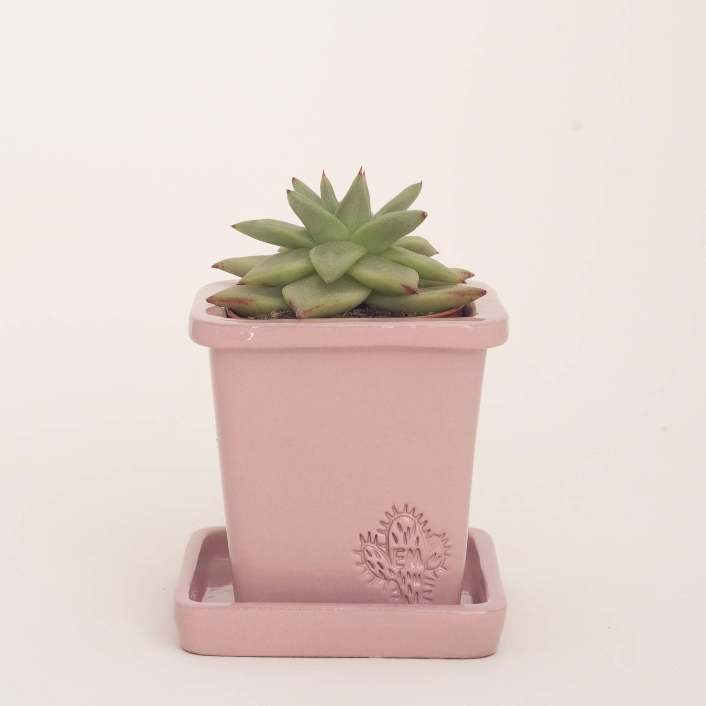 VASO QUADRADO PEQUENO 10x10 - BRILHO