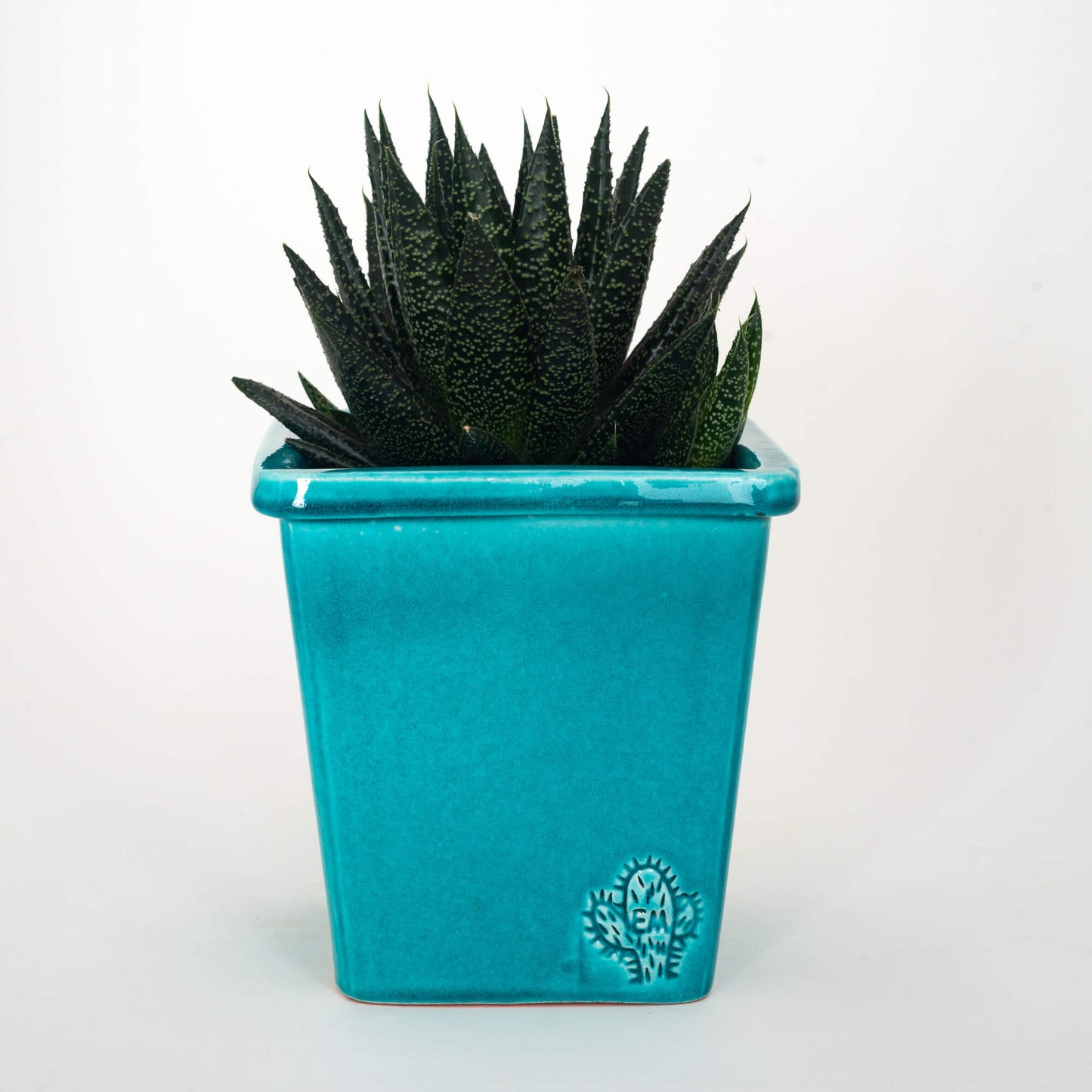 VASO QUADRADO MÉDIO 14x14 - BRILHO