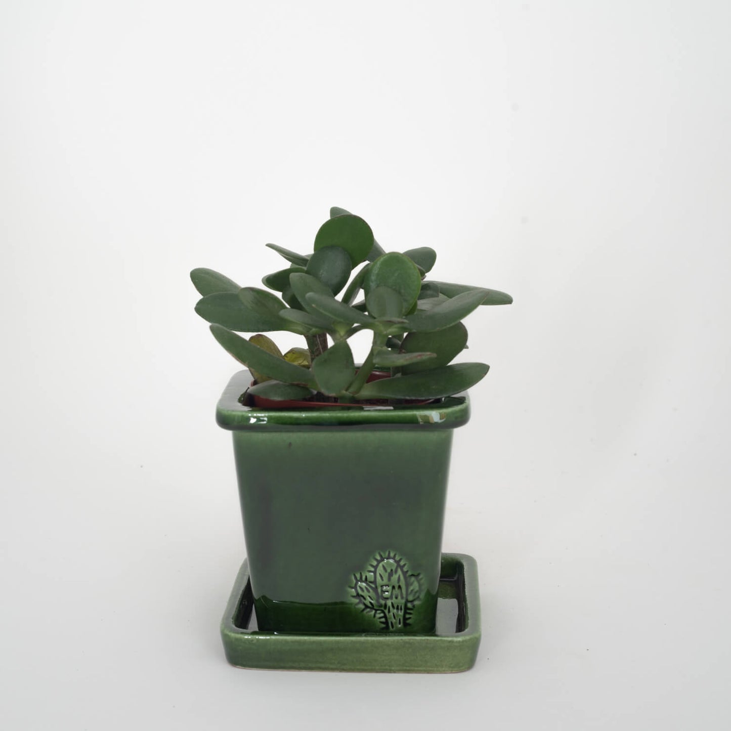 VASO QUADRADO PEQUENO 10x10 - BRILHO