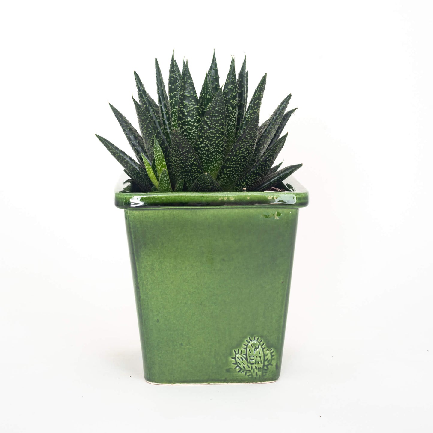 VASO QUADRADO MÉDIO 14x14 - BRILHO