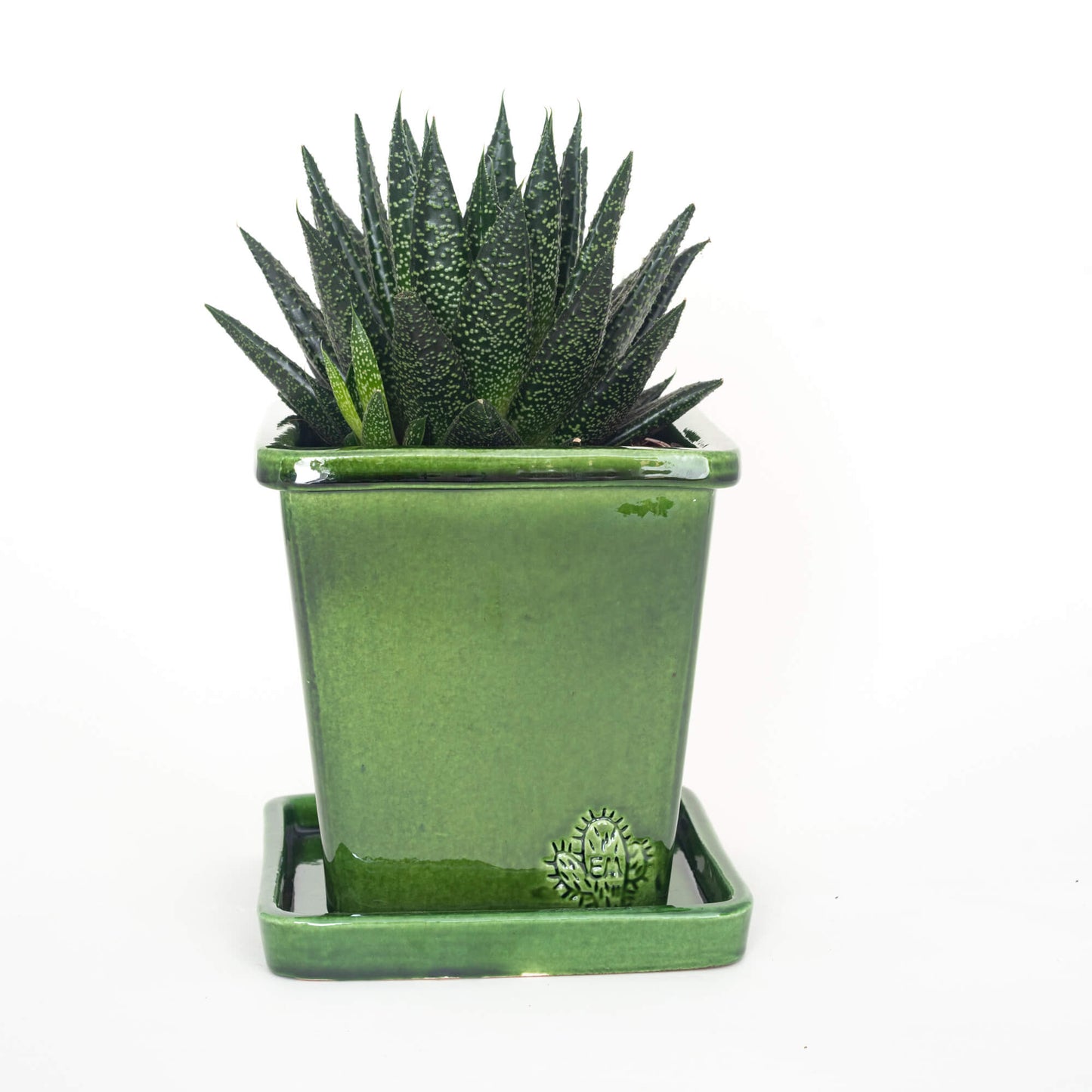 VASO QUADRADO MÉDIO 14x14 - BRILHO