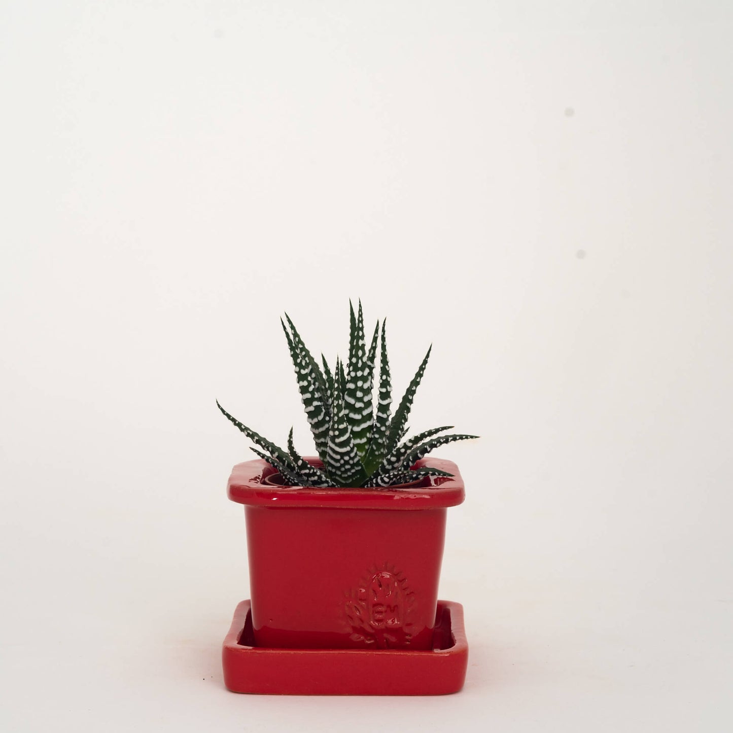 VASO QUADRADO MINI 6x6 - BRILHO
