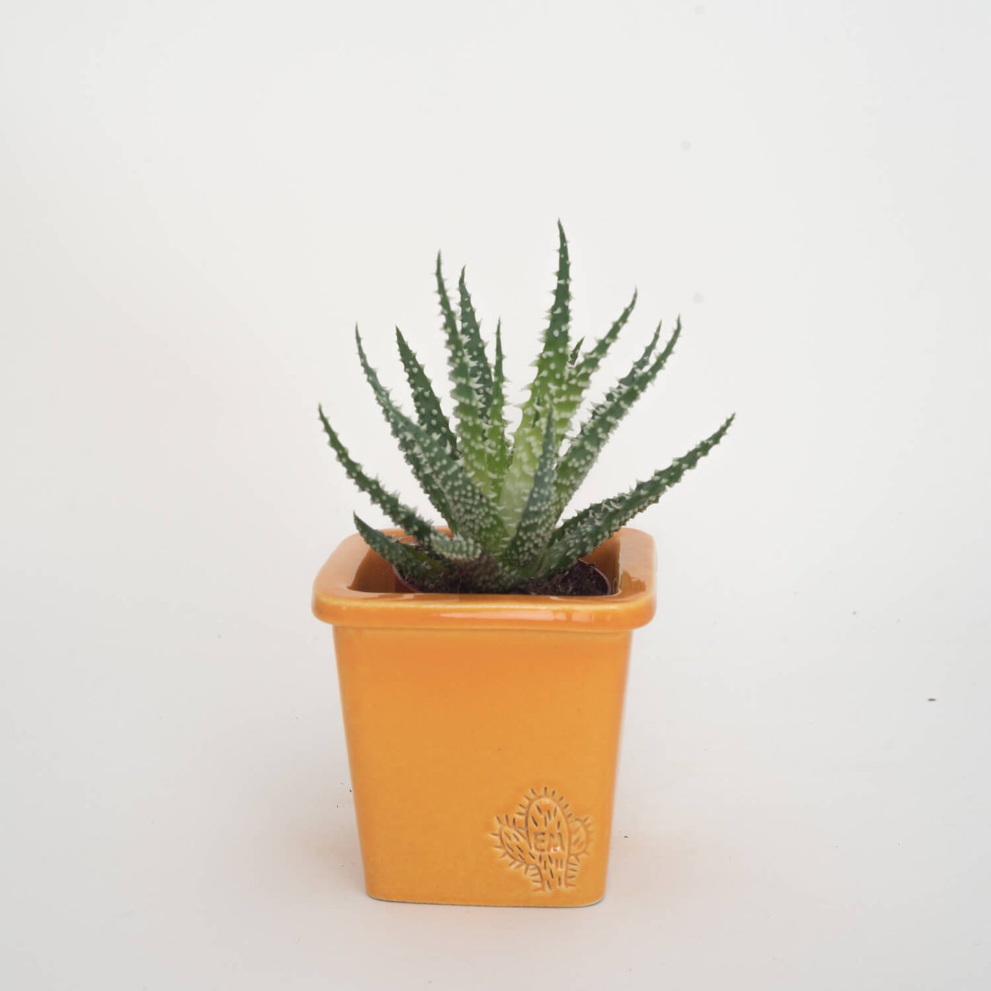 VASO QUADRADO PEQUENO 10x10 - BRILHO