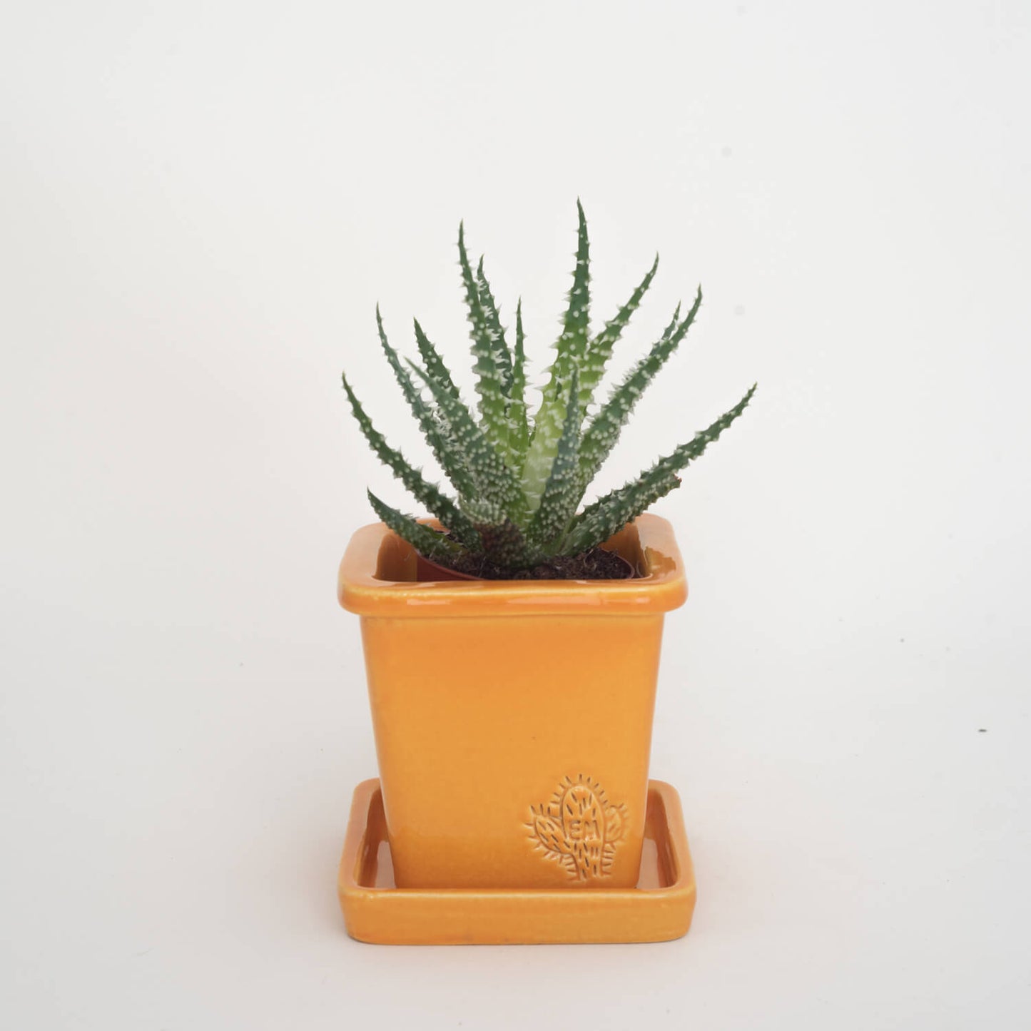 VASO QUADRADO PEQUENO 10x10 - BRILHO