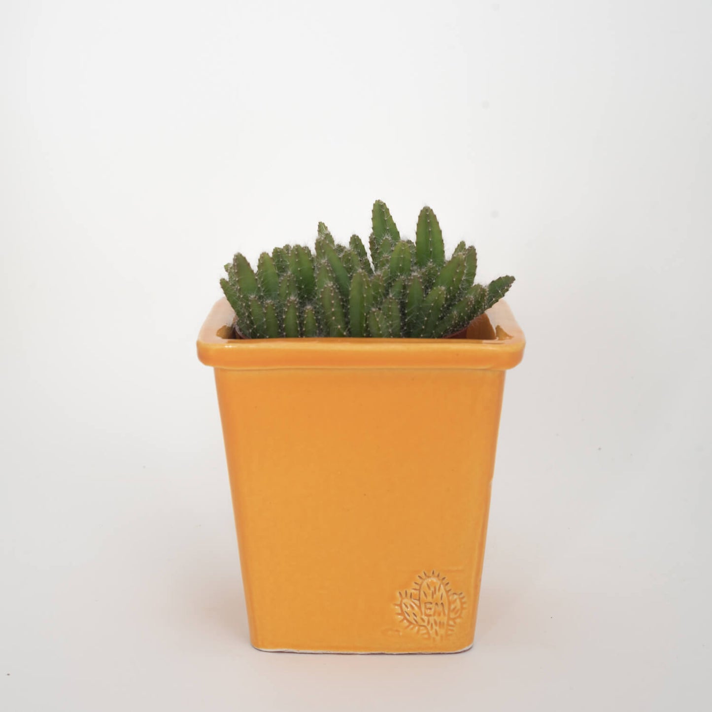 VASO QUADRADO MÉDIO 14x14 - BRILHO
