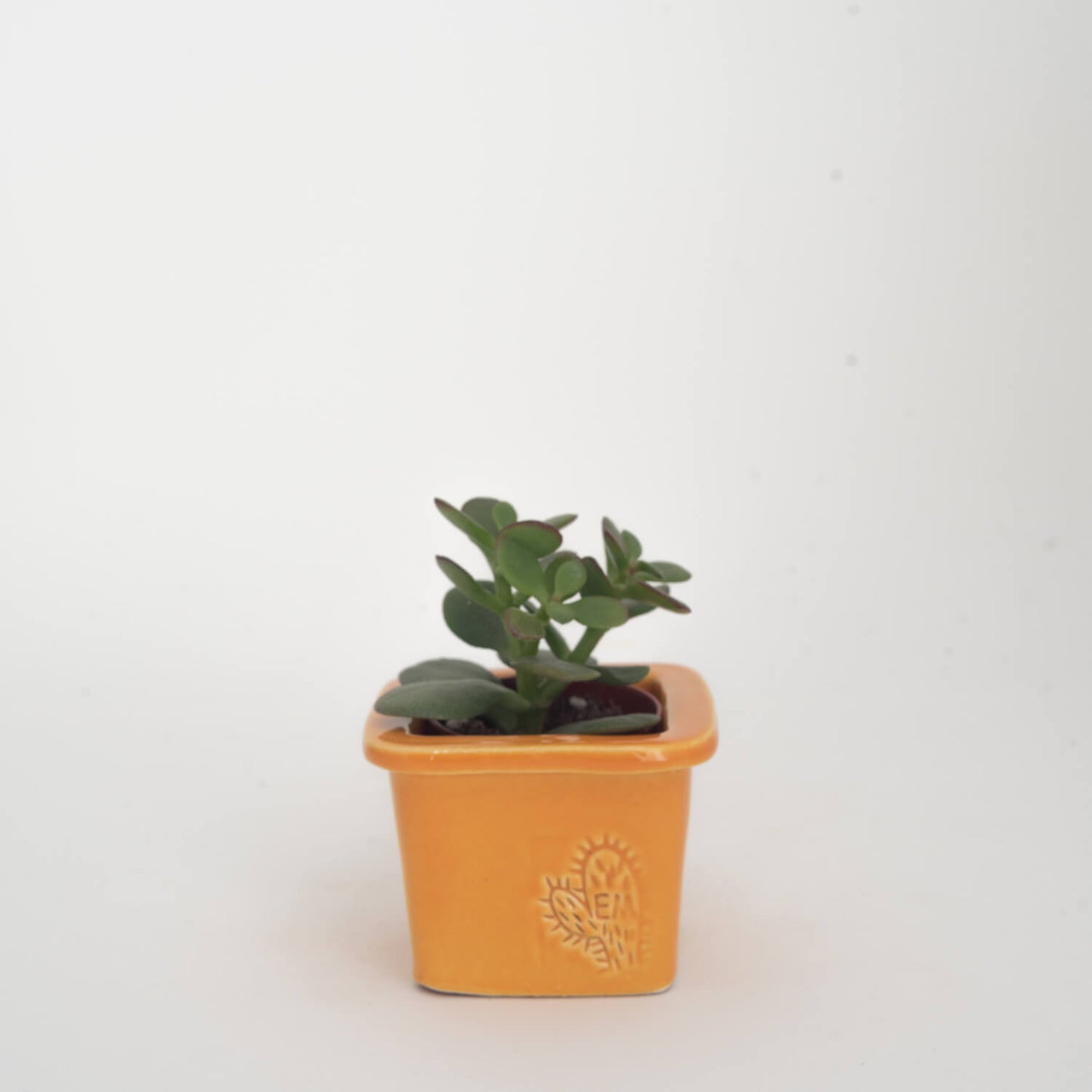 VASO QUADRADO MINI 6x6 - BRILHO