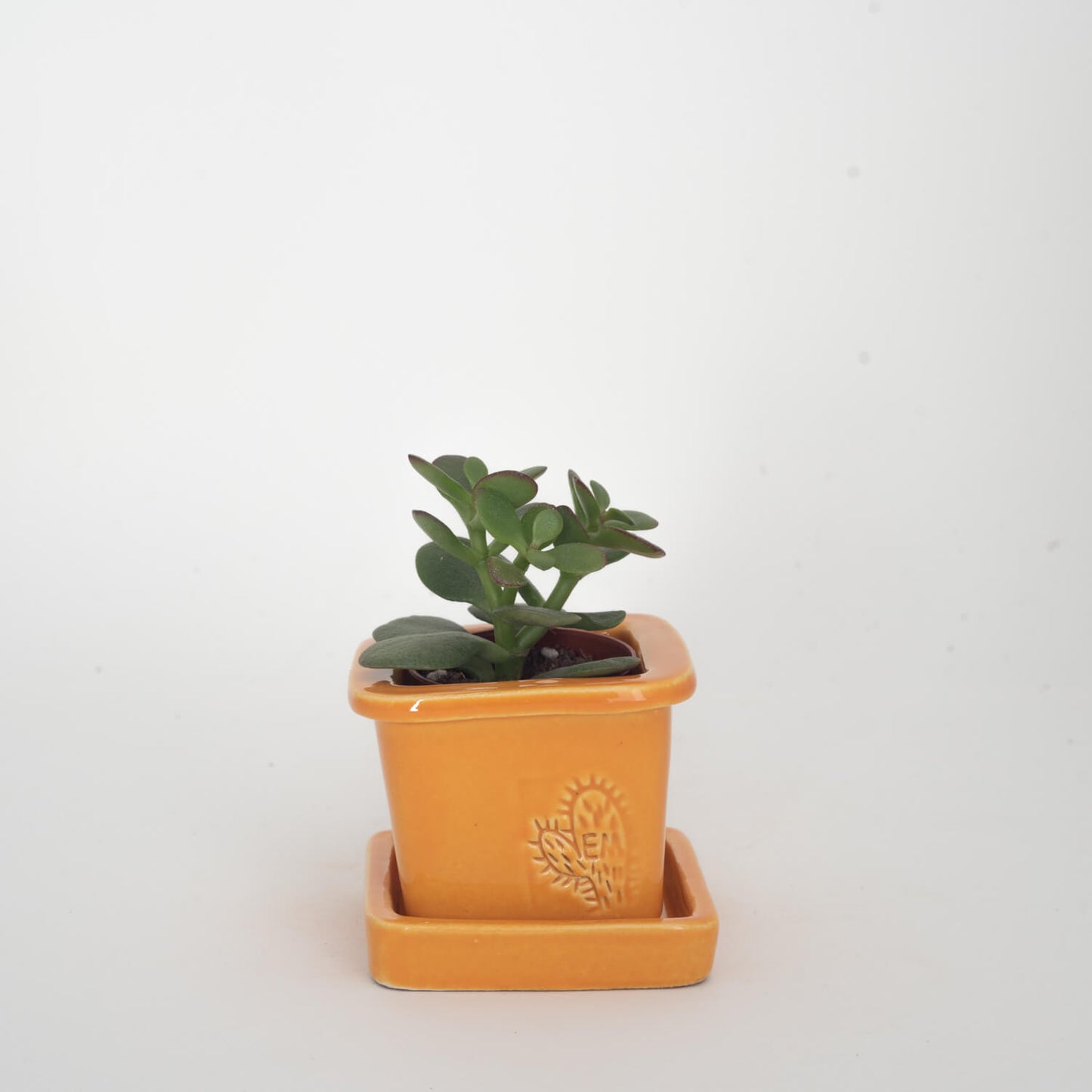 VASO QUADRADO MINI 6x6 - BRILHO