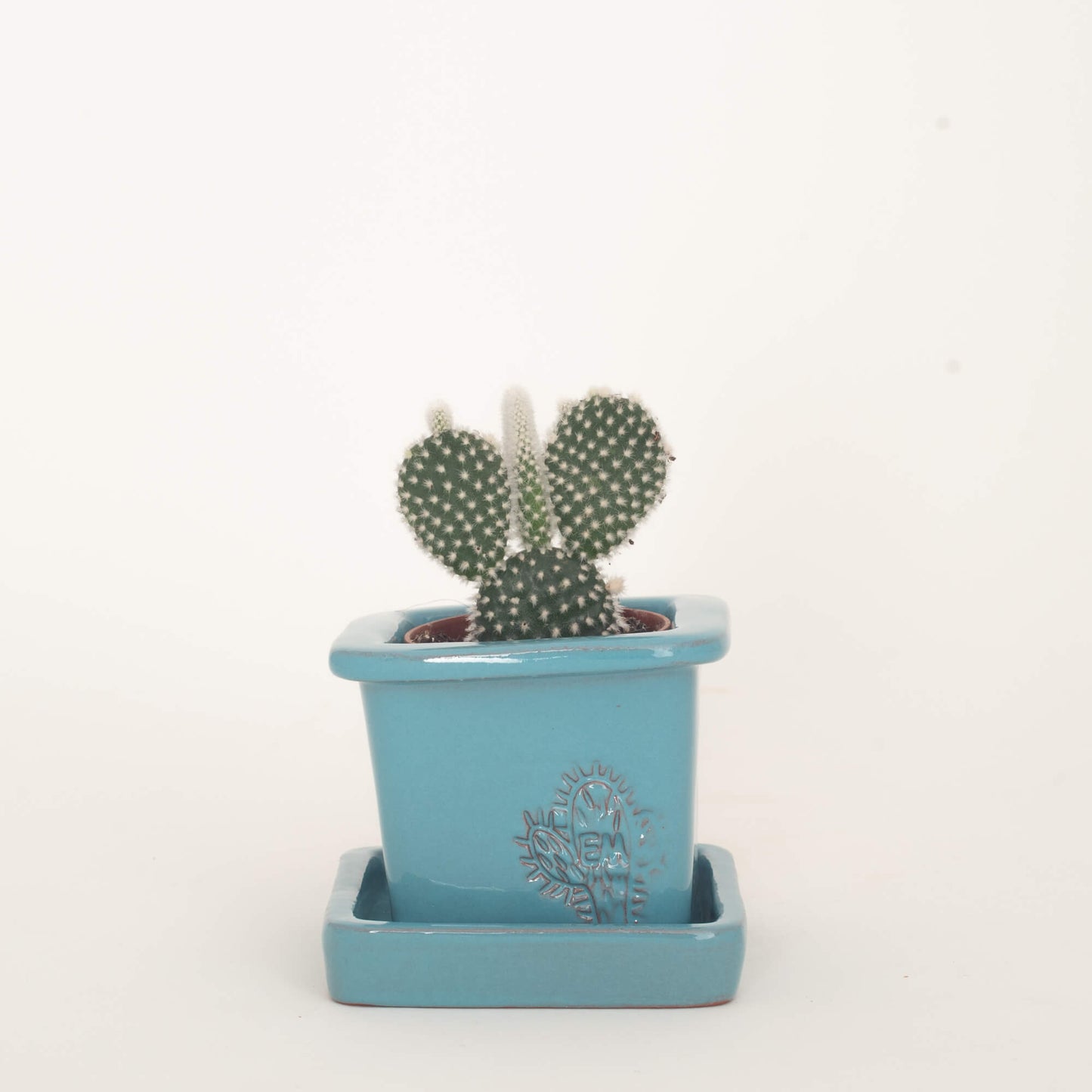 VASO QUADRADO MINI 6x6 - BRILHO