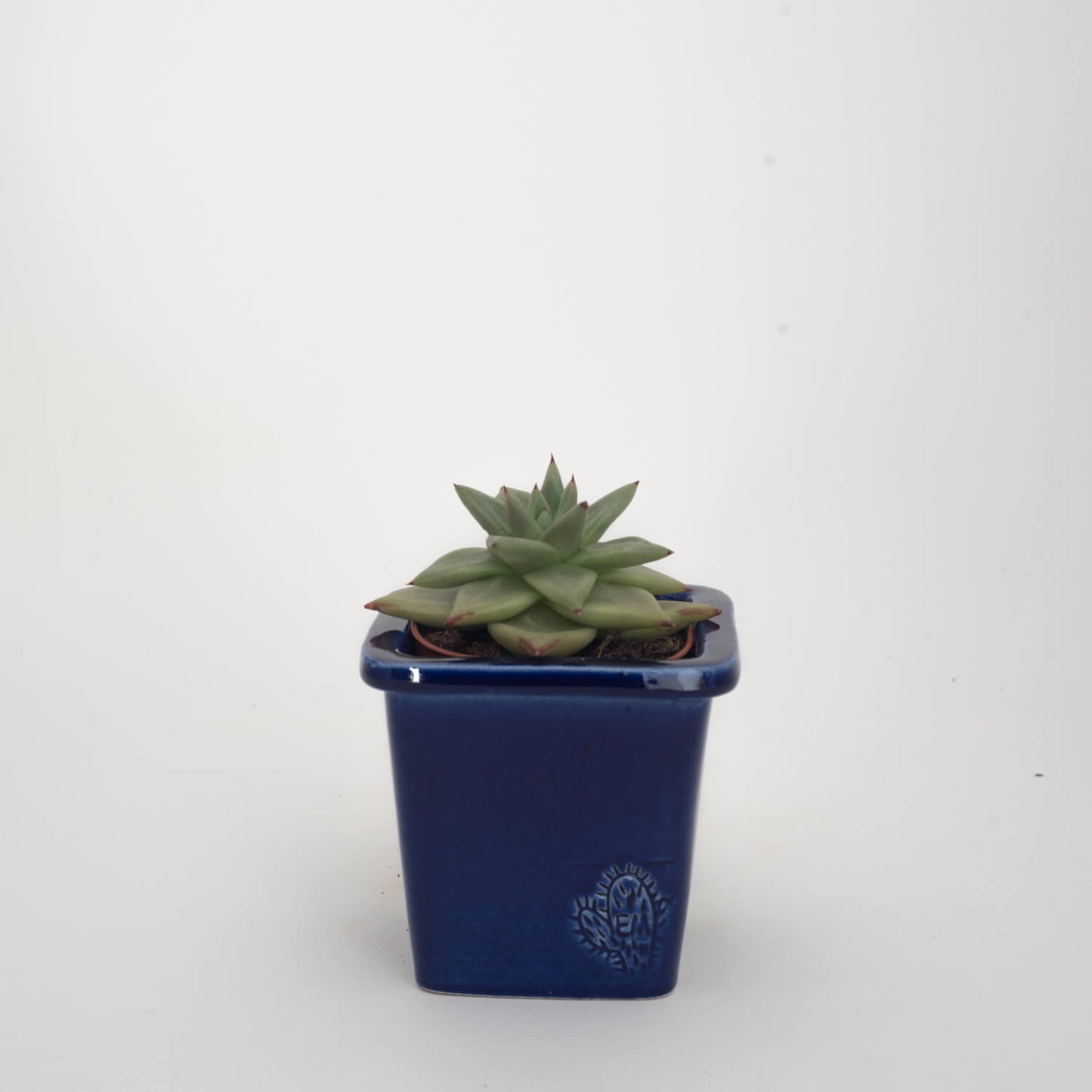 VASO QUADRADO PEQUENO 10x10 - BRILHO