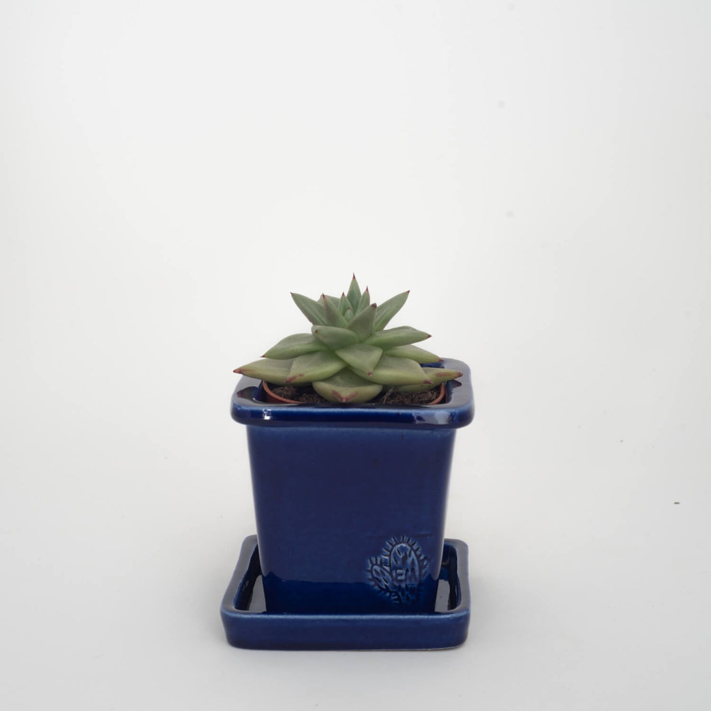VASO QUADRADO PEQUENO 10x10 - BRILHO