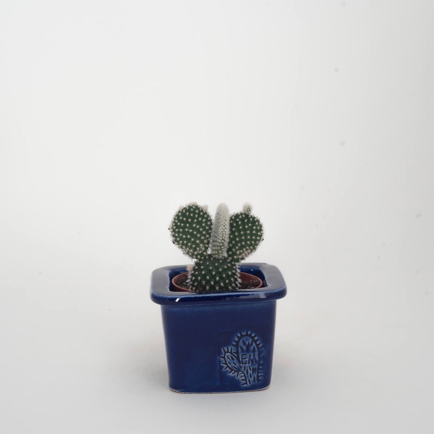 VASO QUADRADO MINI 6x6 - BRILHO
