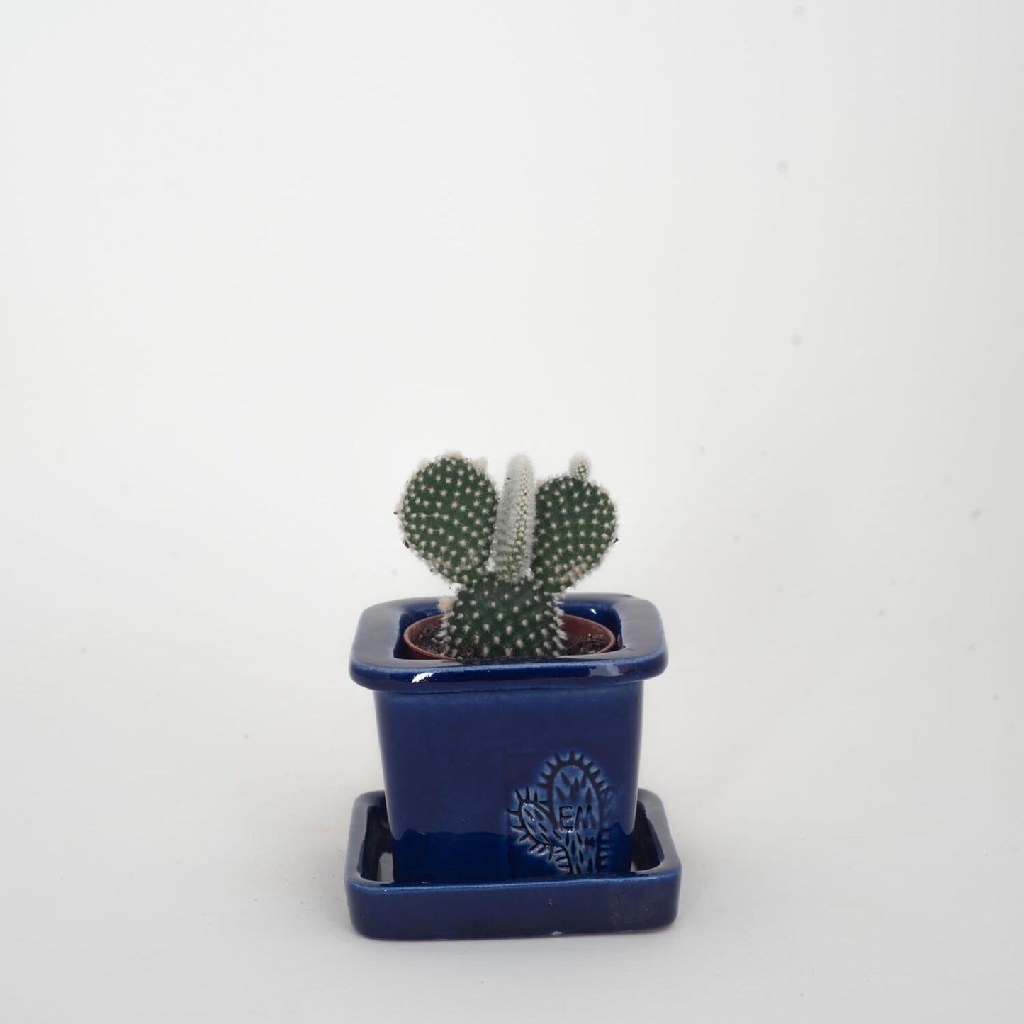 VASO QUADRADO MINI 6x6 - BRILHO