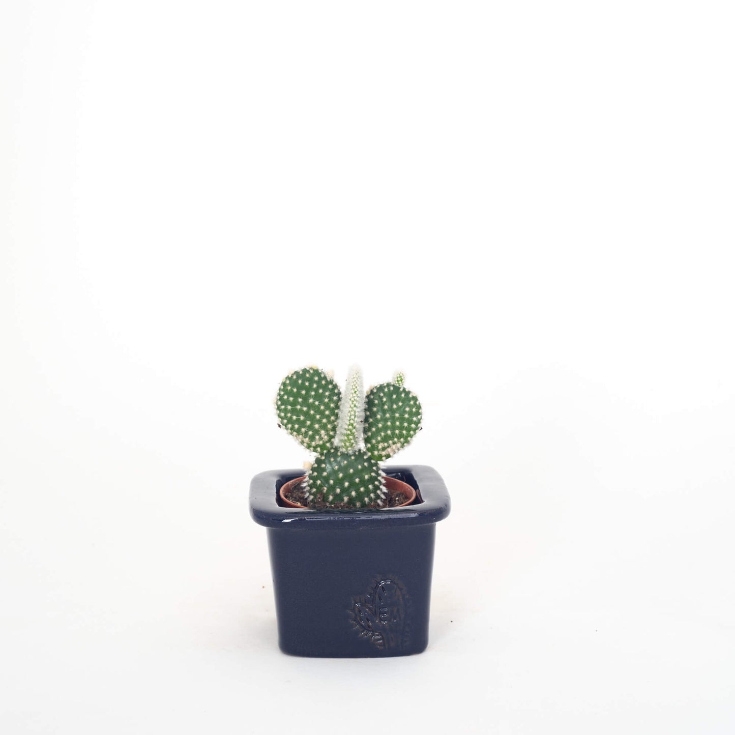VASO QUADRADO MINI 6x6 - BRILHO