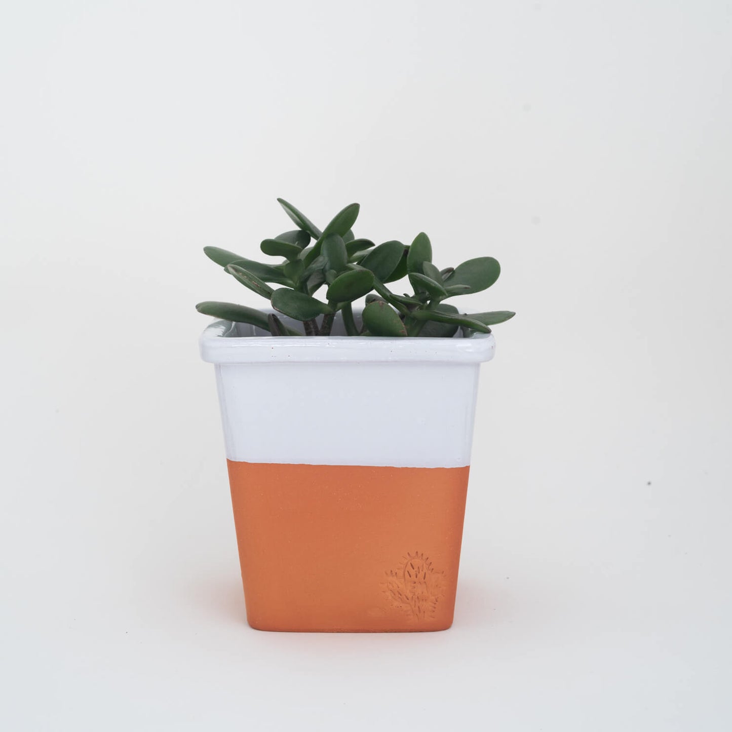 VASO QUADRADO MÉDIO 14x14 - BARRA BRILHO