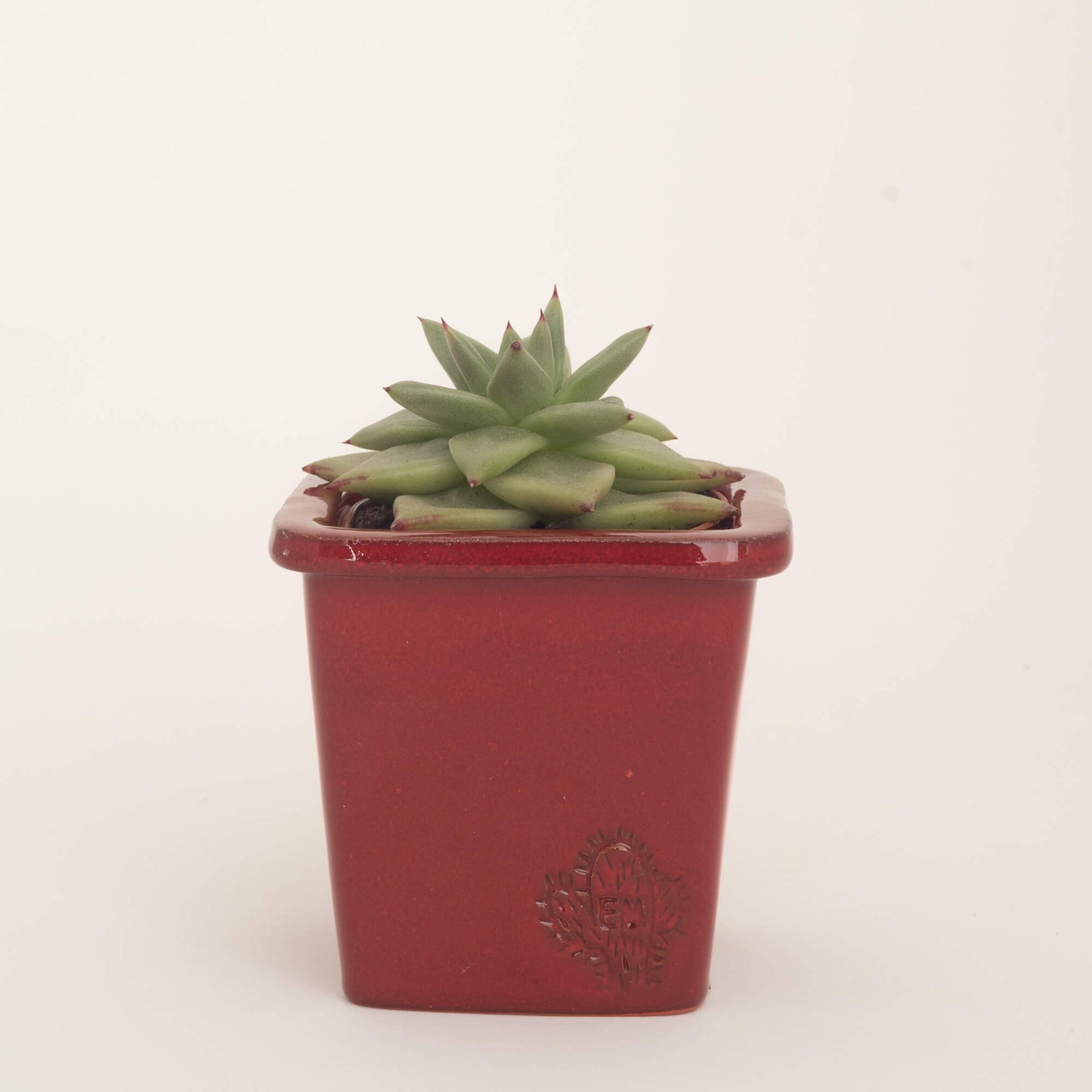 VASO QUADRADO PEQUENO 10x10 - BRILHO