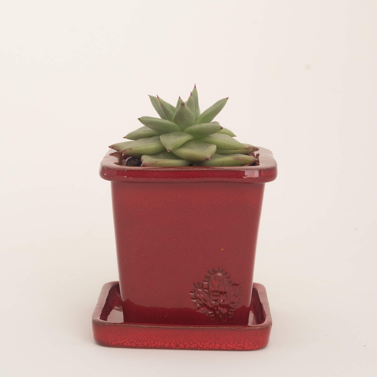 VASO QUADRADO PEQUENO 10x10 - BRILHO
