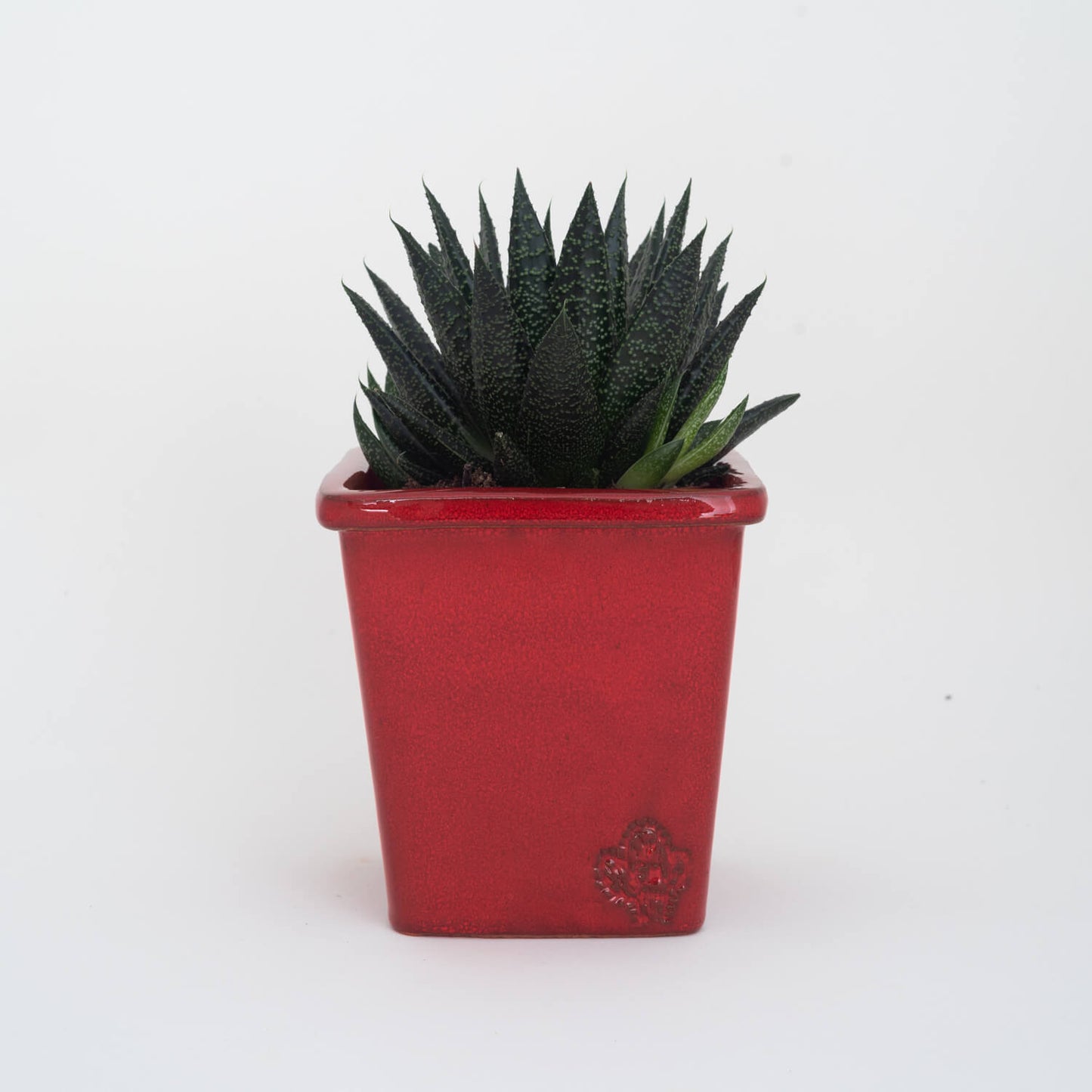 VASO QUADRADO MÉDIO 14x14 - BRILHO