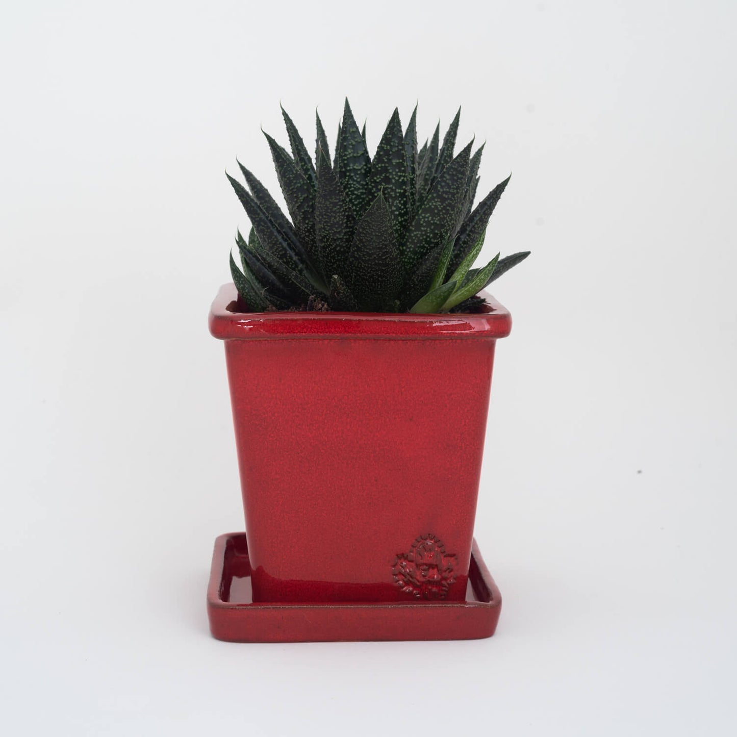 VASO QUADRADO MÉDIO 14x14 - BRILHO