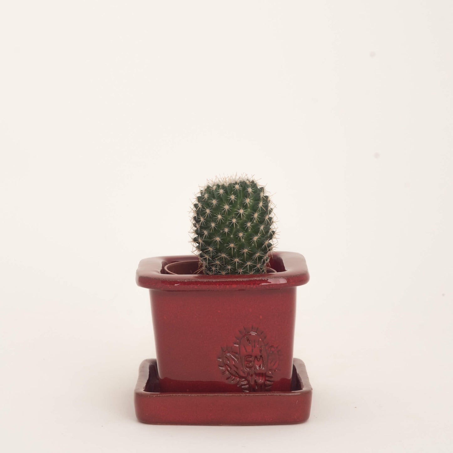 VASO QUADRADO MINI 6x6 - BRILHO