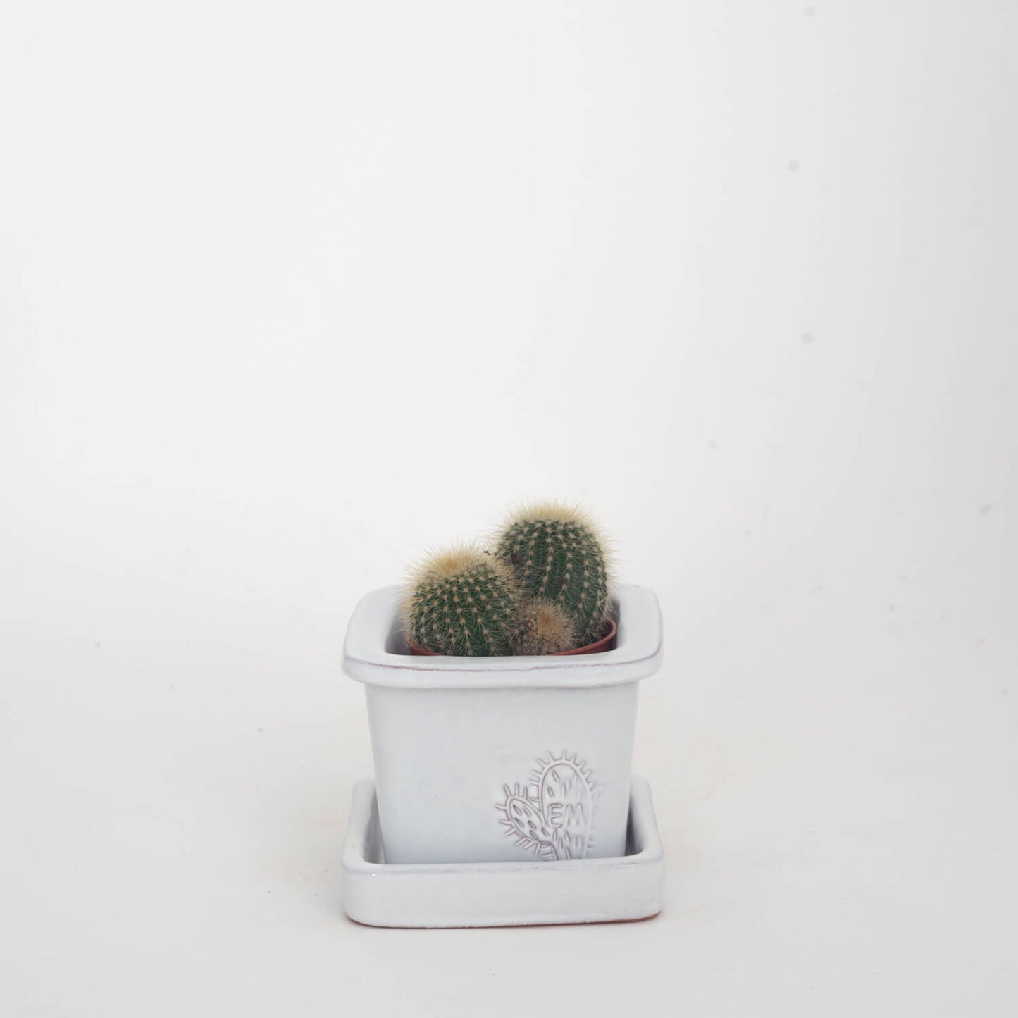 VASO QUADRADO MINI 6x6 - BRILHO
