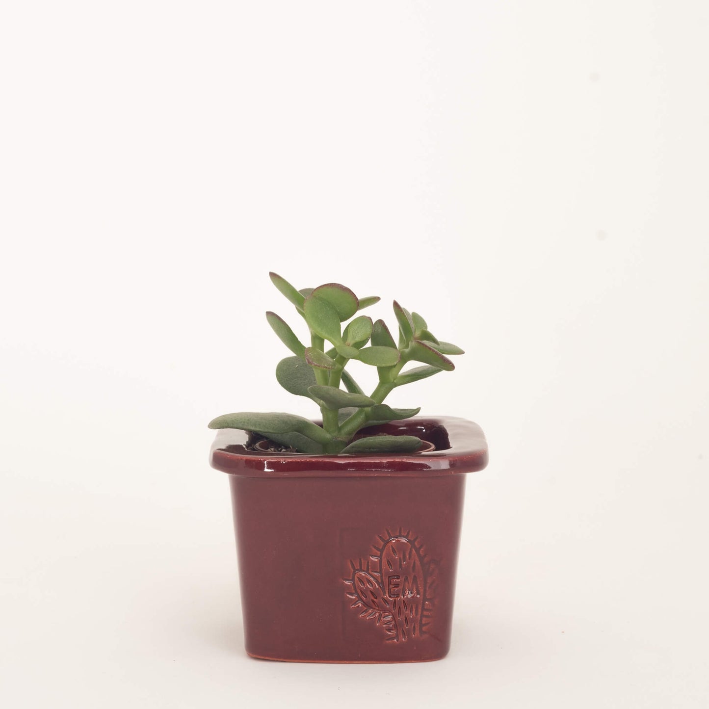 VASO QUADRADO MINI 6x6 - BRILHO