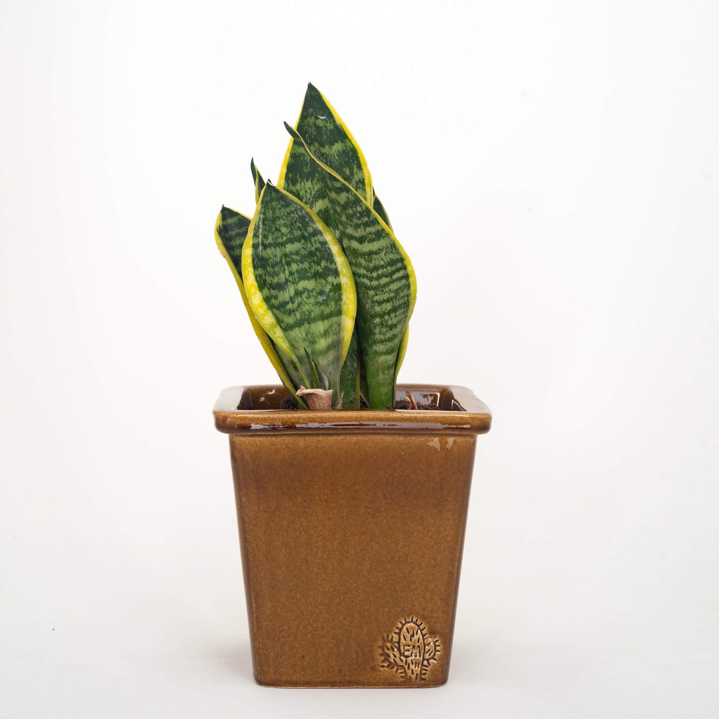 VASO QUADRADO MÉDIO 14x14 - BRILHO