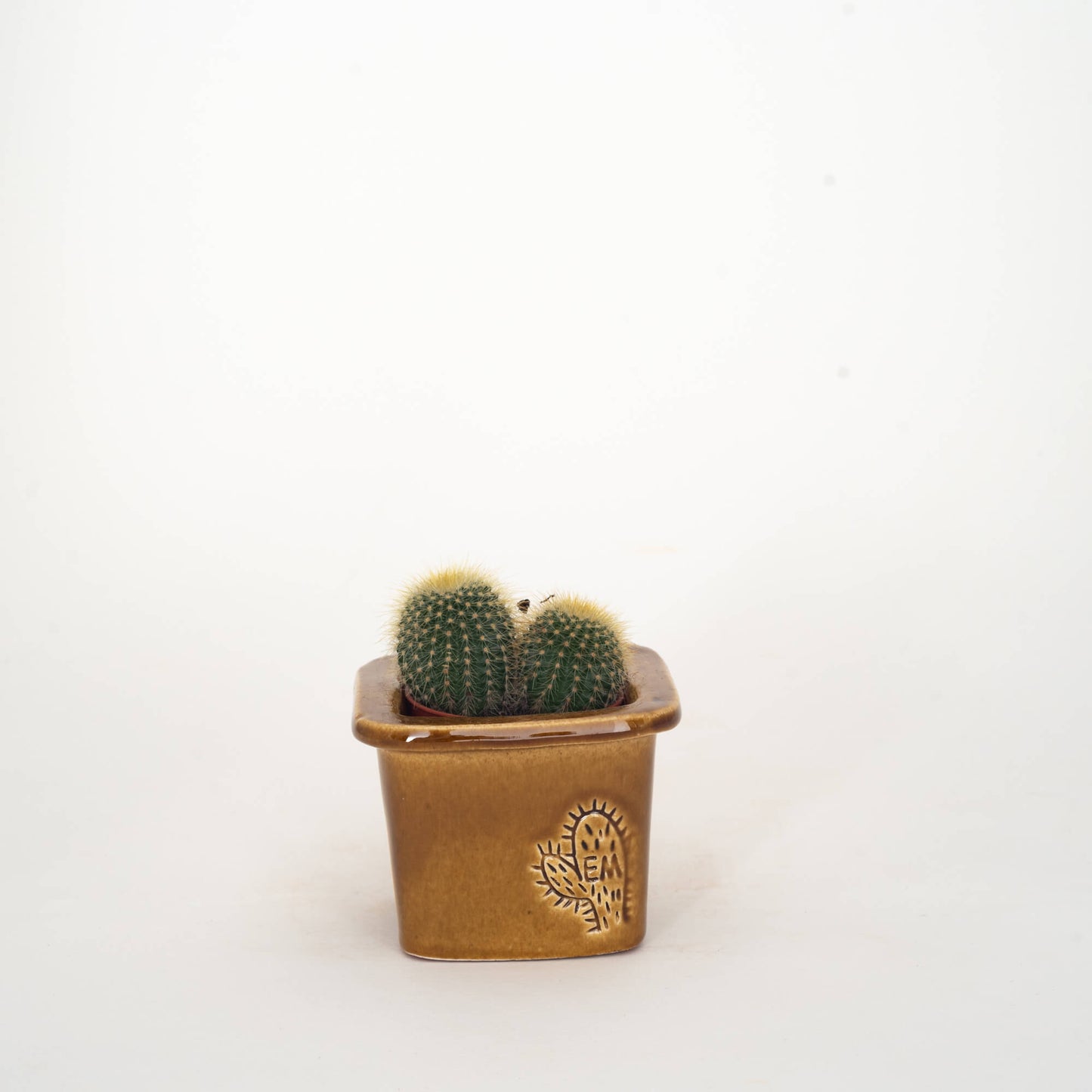 VASO QUADRADO MINI 6x6 - BRILHO