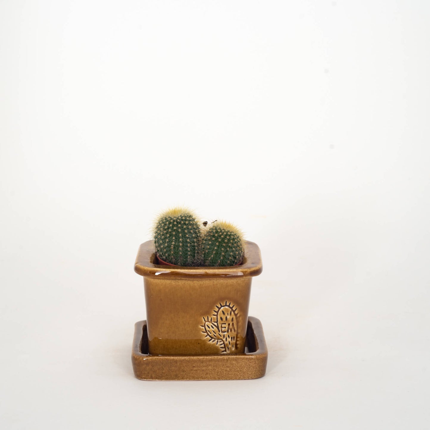 VASO QUADRADO MINI 6x6 - BRILHO