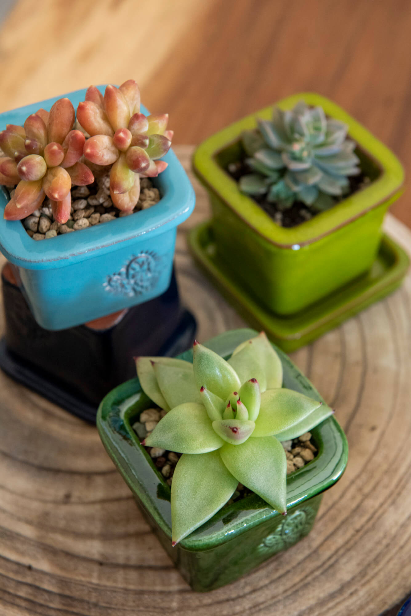 VASO QUADRADO MINI 6x6 - BRILHO