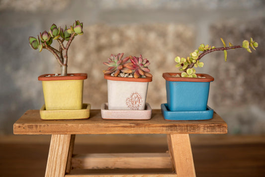 VASO QUADRADO MINI 6x6 - FUSÃO
