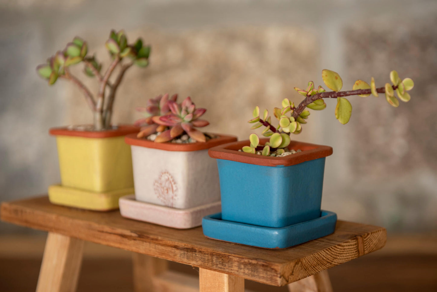 VASO QUADRADO MINI 6x6 - FUSÃO