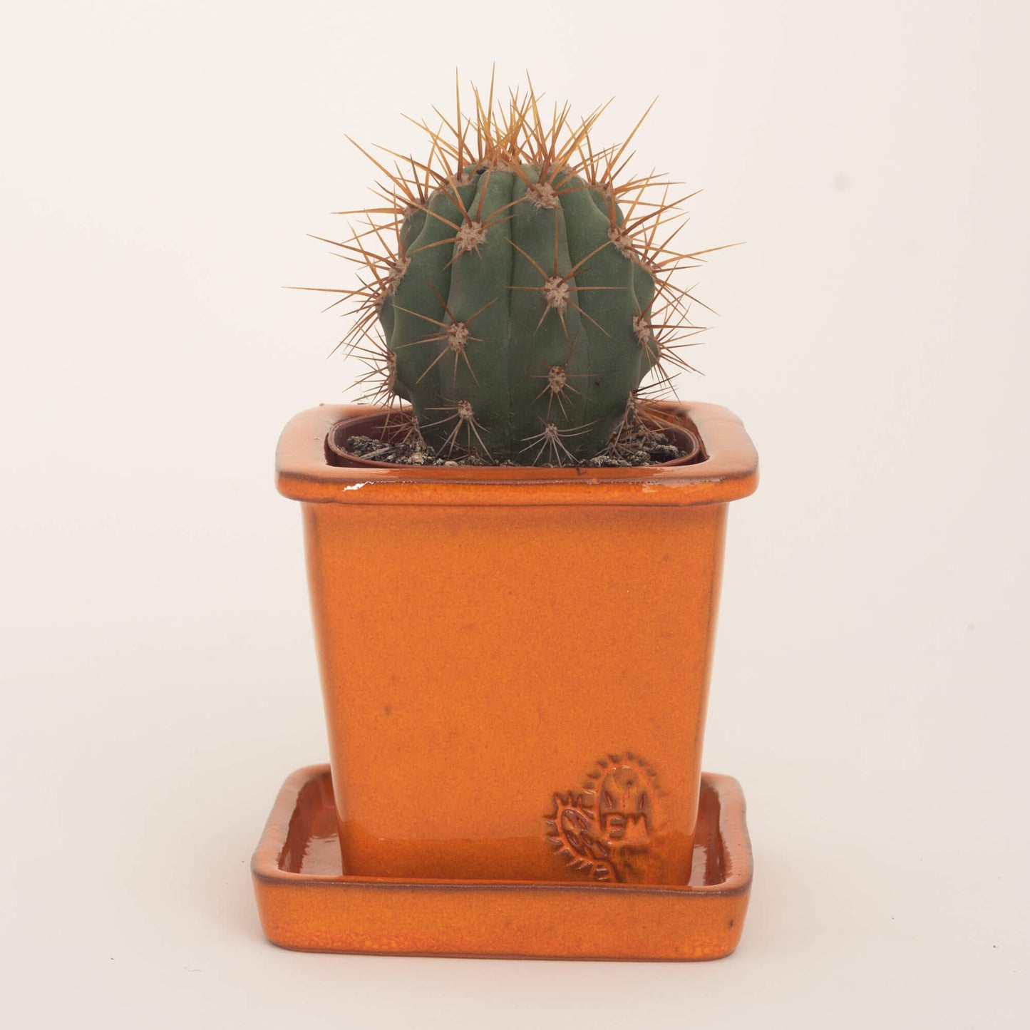 VASO QUADRADO PEQUENO 10x10 - BRILHO