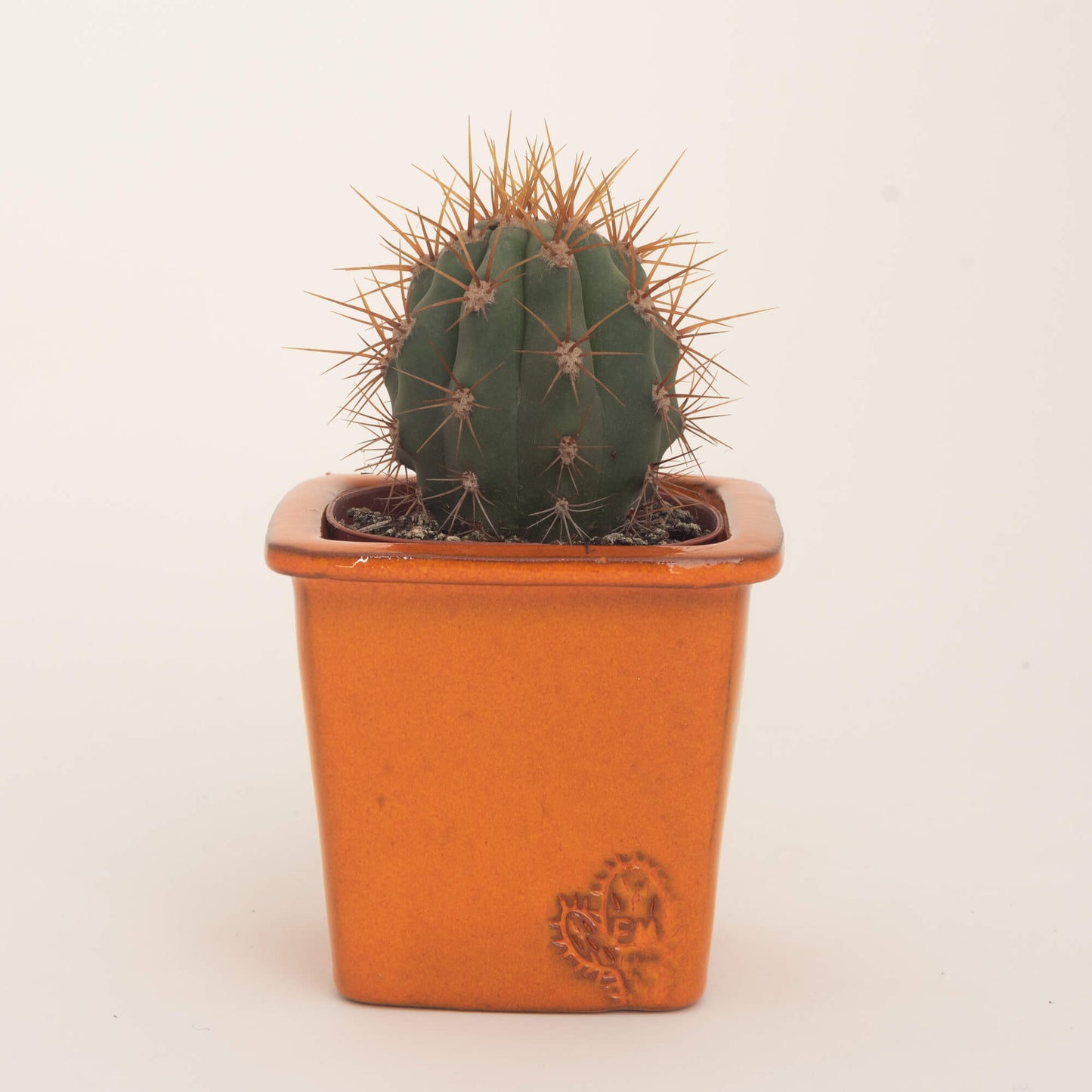 VASO QUADRADO PEQUENO 10x10 - BRILHO