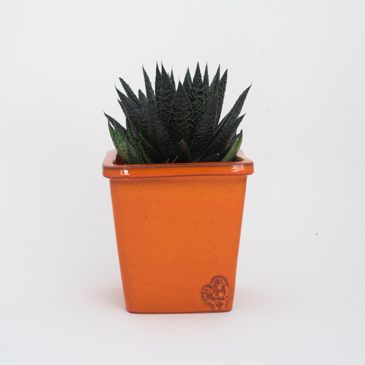 VASO QUADRADO MÉDIO 14x14 - BRILHO