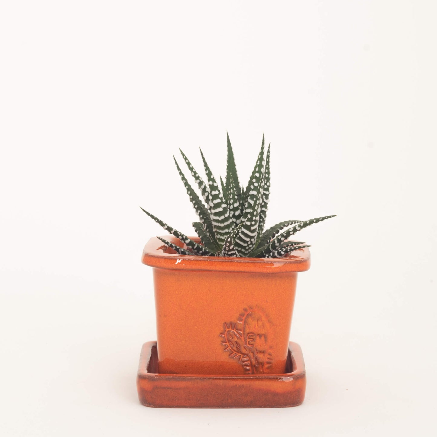 VASO QUADRADO MINI 6x6 - BRILHO