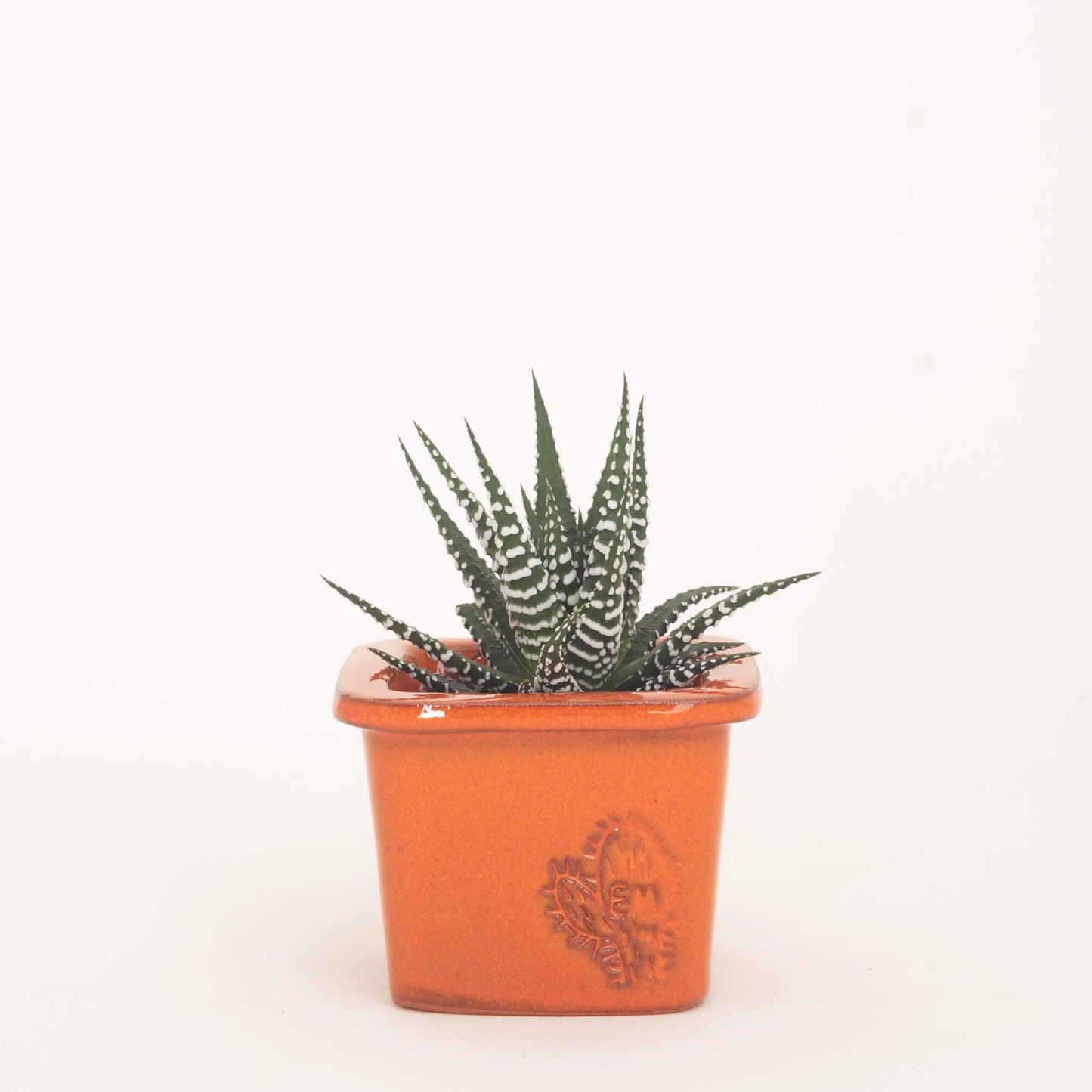 VASO QUADRADO MINI 6x6 - BRILHO