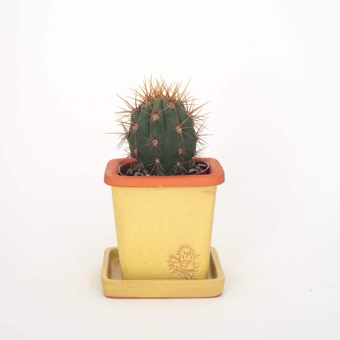 VASO QUADRADO PEQUENO 10x10 - FUSÃO