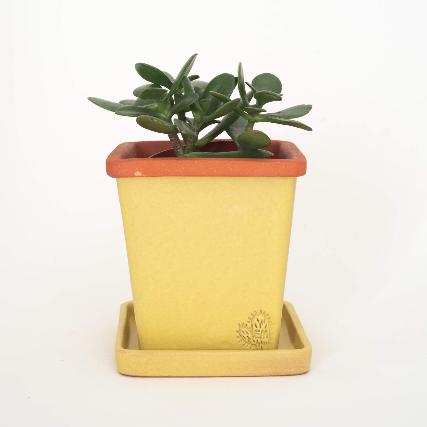 VASO QUADRADO MÉDIO 14x14 - FUSÃO