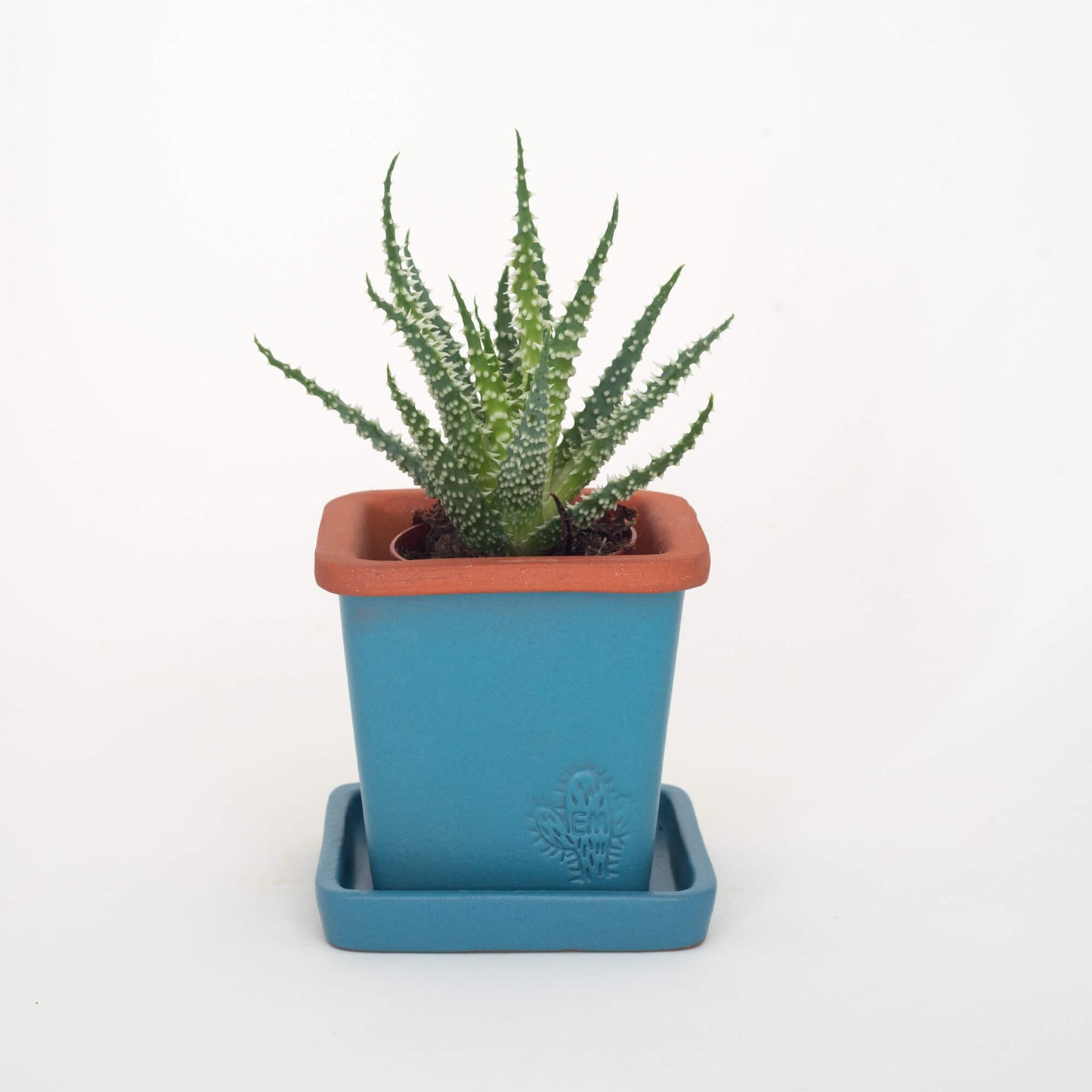 VASO QUADRADO PEQUENO 10x10 - FUSÃO