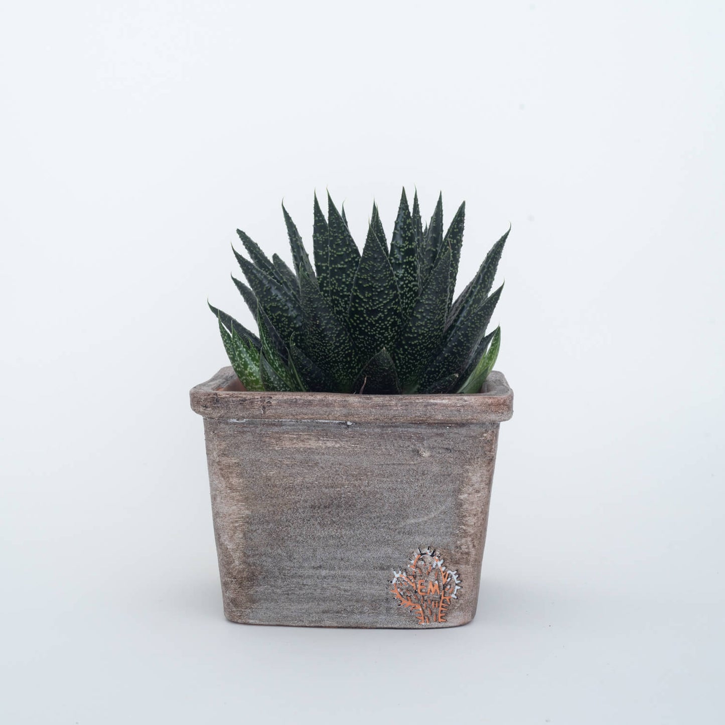 TAÇA QUADRADA 10x14 - AREADA