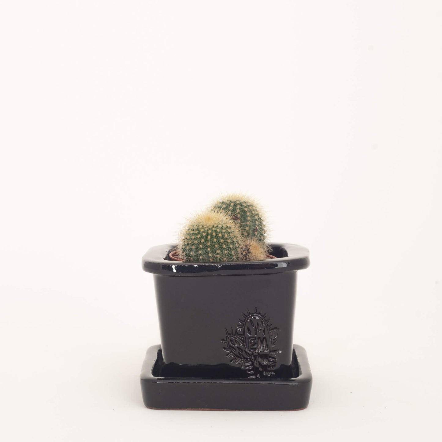 VASO QUADRADO MINI 6x6 - BRILHO